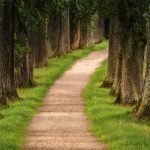 Rutas de archivo en Matlab tree