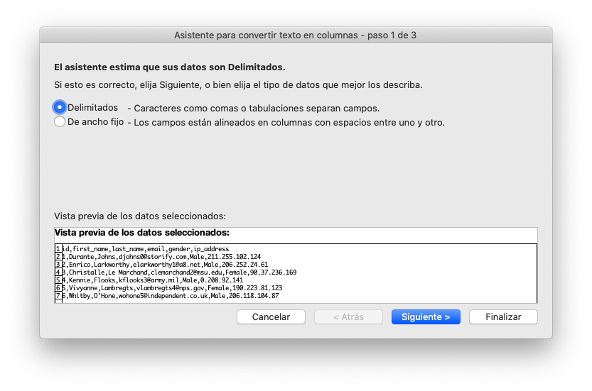 Seleccionar el tipo de delimitador en el asistente de texto en columan