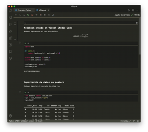 Jupyter Notebooks en Visual Studio Code