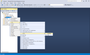 Seleccionar la opción para compactar la base de datos en Microsoft SQL Server Manager Studio